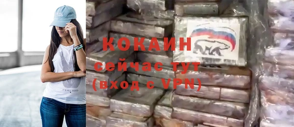 шишки Новокубанск