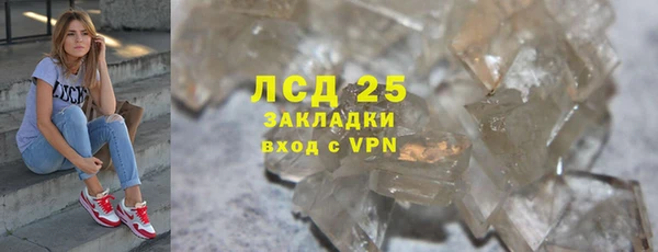 шишки Новокубанск