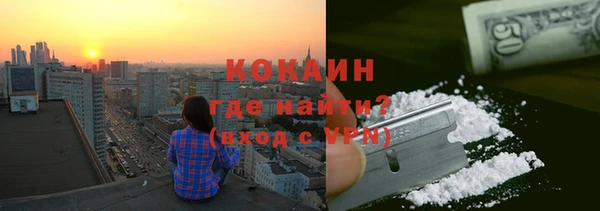 шишки Новокубанск