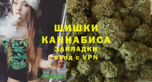 шишки Новокубанск