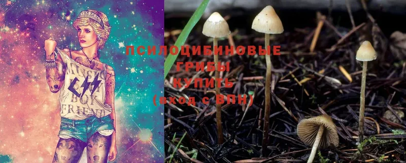 купить наркотики цена  Островной  МЕГА вход  Галлюциногенные грибы Cubensis 