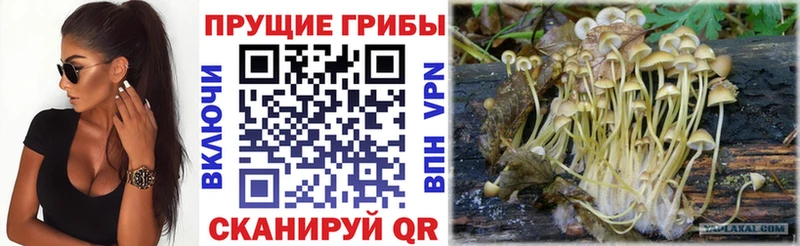 наркота Островной hydra зеркало Псилоцибиновые грибы MAGIC MUSHROOMS
